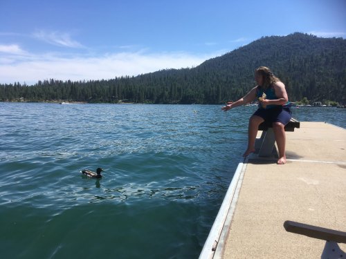 Missy feeding duck